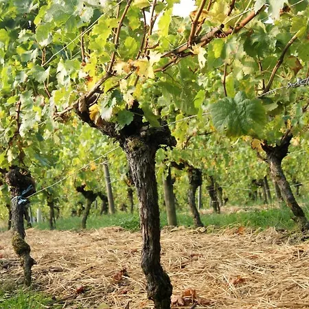 Lägenhet Weinhof Grosch Sugenheim