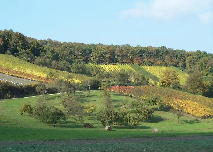 Weinhof Grosch Lägenhet Sugenheim